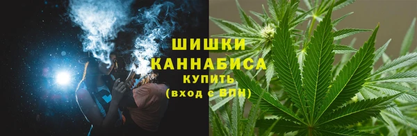 молекула духа Всеволожск