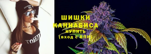 шишки Армянск