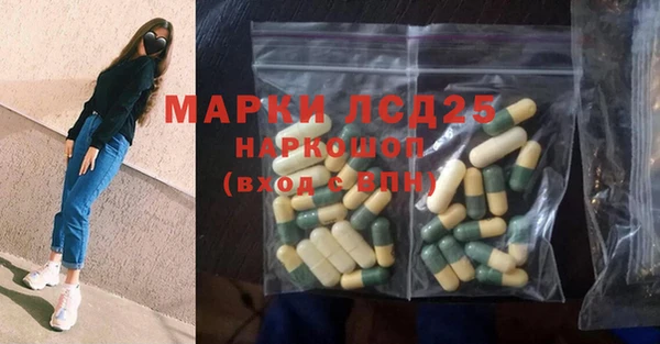 шишки Армянск