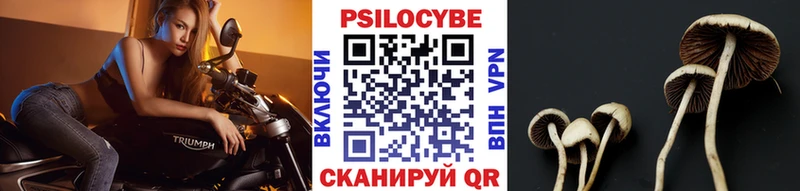 блэк спрут tor  Гдов  Галлюциногенные грибы Magic Shrooms 